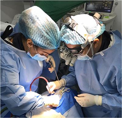 International Neurotrauma Training Based on North-South Collaborations: Results of an Inter-institutional Program in the Era of Global Neurosurgery